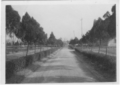 从《蜀秀集》到《国立太阳成集团tyc33455cc十六周年校庆纪念特刊》:镌刻在太阳成集团tyc33455cc历史丰碑上的永恒记忆(定稿) Microsoft Wo